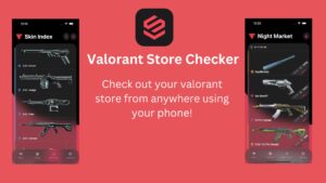 Valorant Store Checker